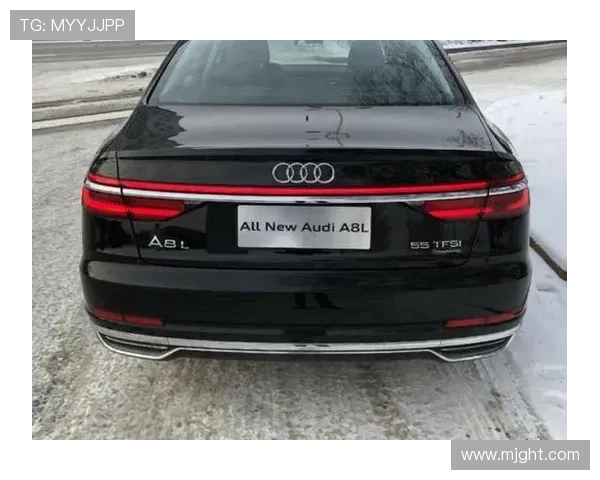 1月29日渭南那些事(奥迪A8雪天自燃)